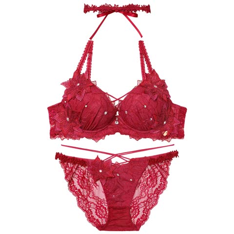 11/7新作!【明日花キララプロデュース/WhipBunny】Brilliant Poinsettia Bra&Shorts / ブリリアントポインセチアブラ＆ショーツ[推し](ポインセチア レッド-B65/ショーツM)