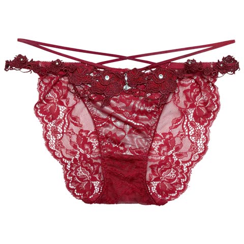 6/19新作!【明日花キララプロデュース/WhipBunny】Rouge Blossom Shorts / ルージュブロッサムショーツ(ルージュ レッド/フルバック-M)