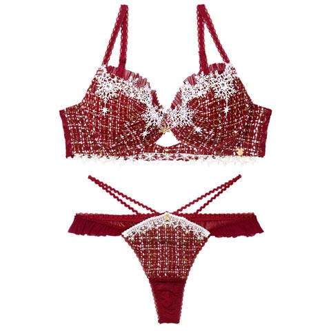 11/21新作!【Tバック】【明日花キララプロデュース/WhipBunny】Luxury Snow Tweed Bra&T-back / ラグジュアリースノーツイードブラ＆Tバック[推し](カーディナルレッド-B65/ショーツM)