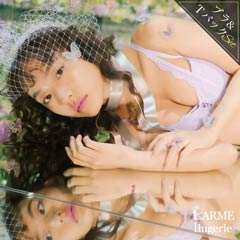 【LARME】Lace line Bra&T-back/Purple レースラインブラ&Tバック/パープル