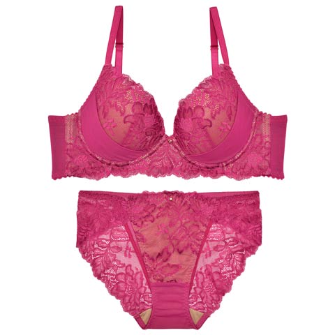 10/31新作!【ダレノガレ明美プロデュース/GARRONE】Masquerade Luxury Bra＆shorts マスカレードラグジュアリーブラ＆バック透けフルバック[推し](ワインレッド-B65/ショーツM)