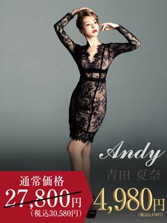 12/4UP【dazzy特別価格】[Andy]Vネックシアー総レース長袖タイトミニドレス[AN-OK2482]