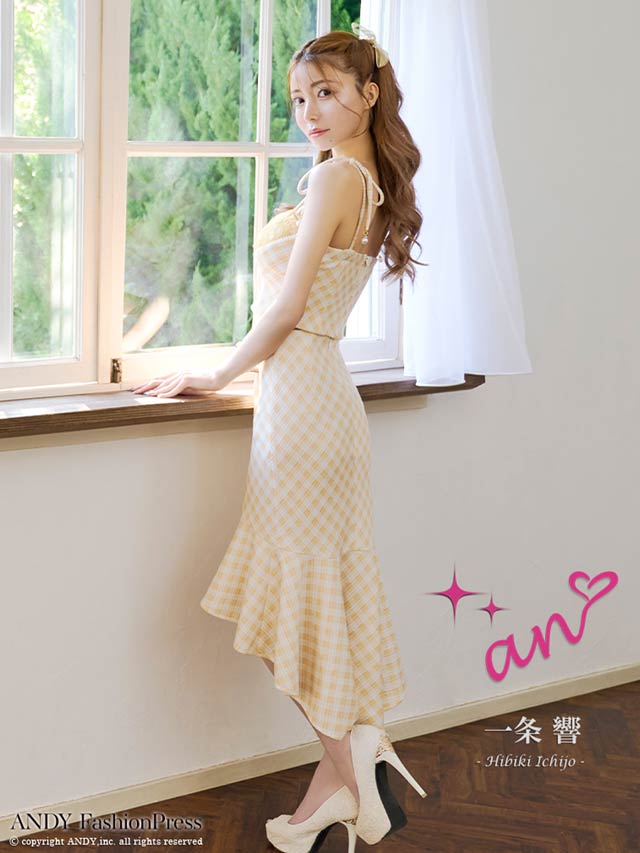 [an]レースギンガムチェックマーメイド膝丈ドレス[AOC-3470]