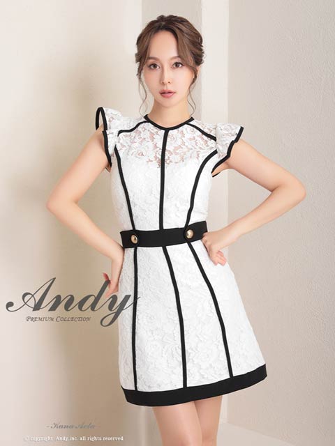 9/29新作!【ポイント20倍】[Andy]パイピングラインオールレースAラインミニ丈キャバドレス[AN-OK2795]