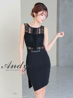 9/29新作!【ポイント20倍】[Andy]シアーレースラインスリットタイトミニ丈キャバドレス[AN-ON2890]