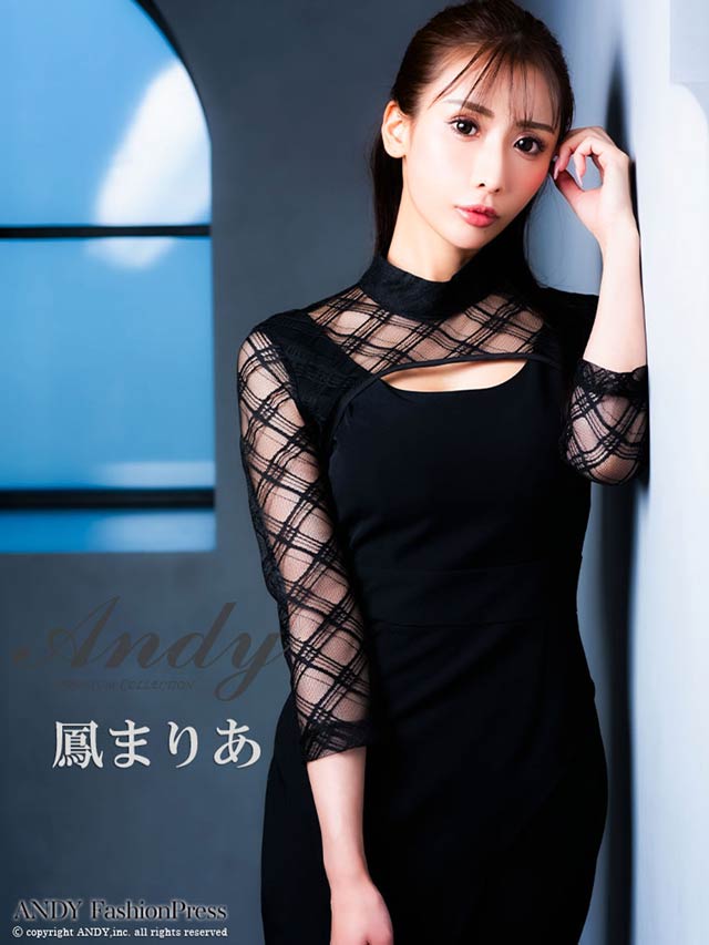 4/9新作!【今だけポイント20倍】[Andy]ハイネックシアーチェック柄七分袖スリットマーメイド膝丈キャバドレス[AN-ON2767]