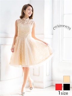 総レースオーガンジーノースリーブAラインミニドレス