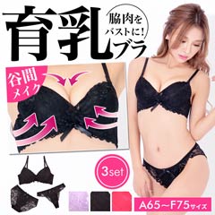 【3点セット】総レース育乳脇高ブラジャー&バック透けフルバック＆Tバックショーツ