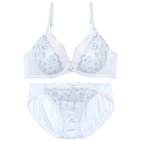 7/18新作!【EFサイズ】スウィートフルールエンブロイダリーブラジャー&フルバックショーツ[推し](サックス-E65/ショーツM)