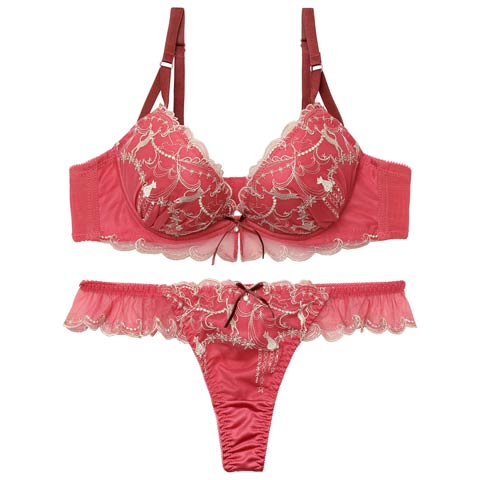 2/11新作!【Tバック】ドリーミーキャットブラジャー&Tバックショーツ[推し](レッド-A70/ショーツM)