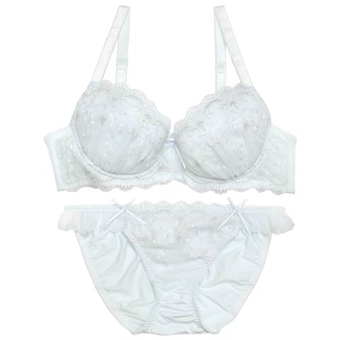 【EFサイズ】シャイニーパステルエンブロイダリーブラジャー&フルバックショーツ [推し](サックス-E65/ショーツM)