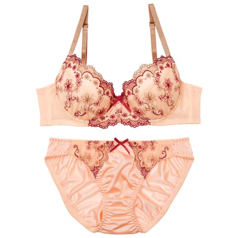 9/1新作!フェミニンメッシュレーシィブラジャー&フルバックショーツ[推し](ピンク-B65/ショーツM)