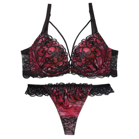 7/11新作!【Tバック】ルミナスアイビーコード育乳ブラジャー&バック透けTバックショーツ[推し](レッド-A70/ショーツM)