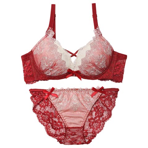 12/12新作!エレガントエンブロイダリー育乳脇高ブラジャー＆バック透けフルバックショーツ[推し](レッド-A70/ショーツM)