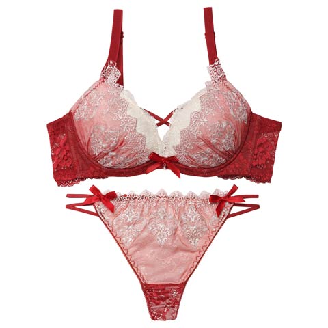 12/12新作!【EFサイズ】【Tバック】エレガントエンブロイダリー育乳脇高ブラジャー＆バック透けTバックショーツ[推し](レッド-E65/ショーツM)