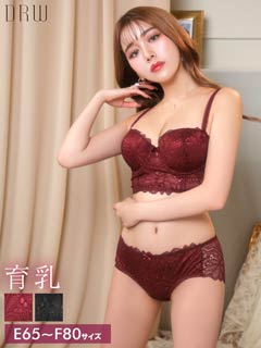 【EFサイズ】ゴージャスレースエンブロイダリー育乳脇高ブラジャー&バック透けフルバックショーツ