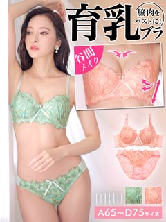 シャイニーブルーミング育乳脇高ブラジャー&フルバックショーツ[プチプラ]