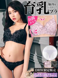 【GHサイズ】ファンシーバタフライ育乳脇高ブラジャー&Tバックショーツ