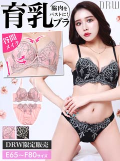 【EFサイズ】シルバーゴシックエンブロイダリー育乳脇高ブラジャー&フルバックショーツ
