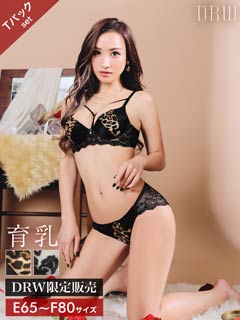 【EFサイズ】レオパードマカロニコード育乳脇高ブラジャー&バック透けTバックショーツ
