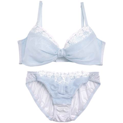 3/18再販!【EFサイズ】プリンセスリボンガーリー育乳脇高ブラジャー&フルバックショーツ[推し](サックス-E65/ショーツM)