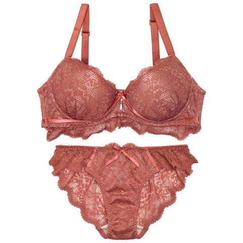 12/2再販!【GHサイズ】レーシィスカラップブラジャー&バック透けフルバックショーツ[推し](テラコッタ-G65/ショーツM)