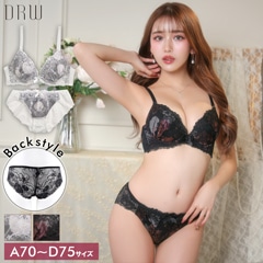 ゴシックローズレース刺繍ブラジャー&バック透けフルバックショーツ[プチプラ]