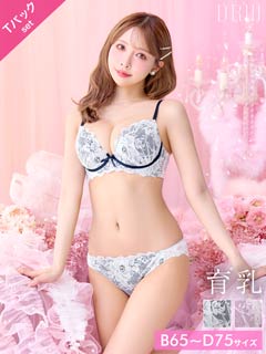 5/7新作!【Tバック】【三上悠亜着用】ミスティーローズレース育乳脇高ブラジャー&バック透けTバックショーツ[推し]