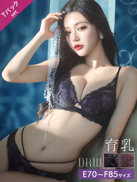 12/18再販!【EFサイズ】オールレースカットストリング育乳脇高ブラジャー&バック透けTバックショーツ[推し]