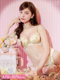 メルティニュアンスフルール育乳脇高ブラジャー&フルバックショーツ