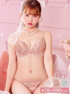 10/19再販!ロイヤルサテンローズ育乳脇高ブラジャー&フルバックショーツ