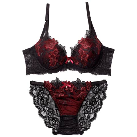 12/9再販!ダスティブルームエンブロイダリー育乳ブラジャー&バック透けフルバックショーツ[推し][人気](レッド-A65/ショーツM)