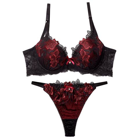 12/9再販!【Tバック】ダスティブルームエンブロイダリー育乳ブラジャー&バック透けTバックショーツ[推し][人気](レッド-A65/ショーツM)