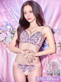 【EFサイズ】ロマンティックシャイニーローズ育乳ブラジャー&フルバックショーツ[推し]