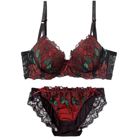 12/8新作!【EFサイズ】【三上悠亜着用】ゴージャスディープローズ育乳脇高ブラジャー&フルバックショーツ[推し](ワインレッド-E65/ショーツM)