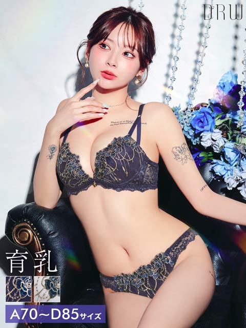 4/1新作!ロイヤルチェインローズ育乳脇高ブラジャー&フルバックショーツ[推し]