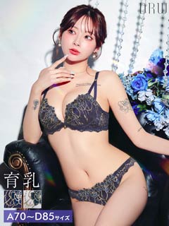 4/1新作!ロイヤルチェインローズ育乳脇高ブラジャー&フルバックショーツ[推し]