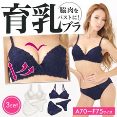 【3点セット】【大きいサイズ有】脇高チュール花刺繍ブラジャー&フルバック&Tバックショーツ