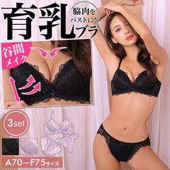 【3点セット】グラマーオールレース育乳脇高ブラジャー&バック透けフルバック&Tバックショーツ