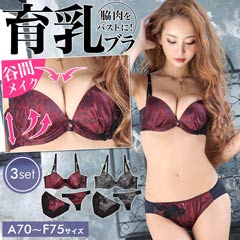 ブラショーツセット 大きいサイズ キャバドレス激安通販はdazzystore デイジーストア 2 13