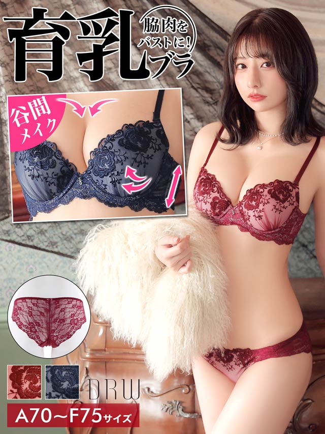 レトロローズエンブロイダリー育乳脇高ブラジャー&バック透けフルバックショーツ[プチプラ]