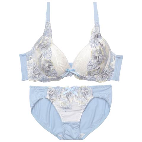【GHIサイズ】ノーブルフルールエンブロイダリー育乳脇高ブラジャー&フルバックショーツ[推し](サックス-G65/ショーツM)