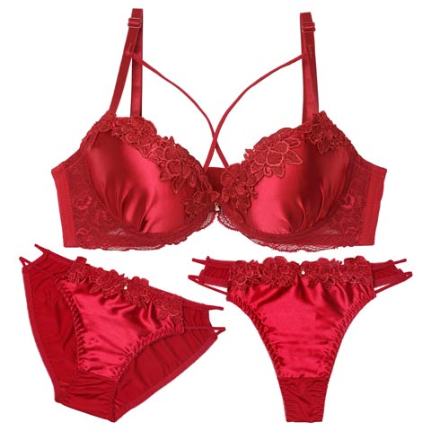 11/14新作!【GHIサイズ】【3点セット】グロッシーブロッサムコード育乳ブラジャー&フルバック&Tバックショーツ[推し](レッド-G65/ショーツM)