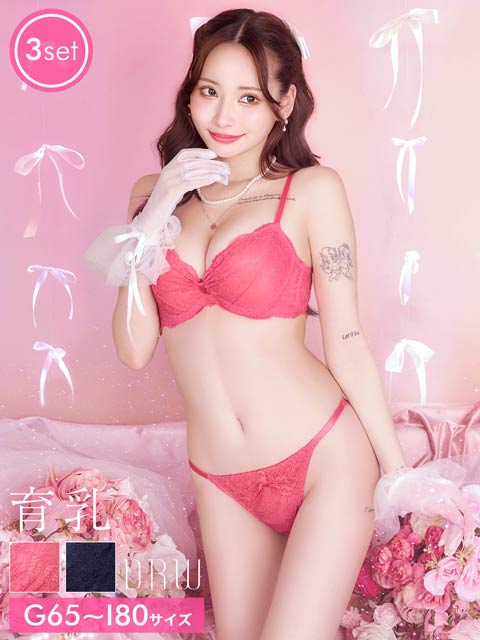 6/8新作!【GHIサイズ】【3点セット】ロマンティックリボンレース育乳脇高ブラジャー&バック透けフルバック&Tバックショーツ[推し]