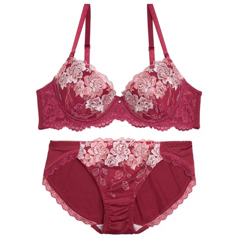 10/13新作!【GHIサイズ】グレイスローズブルームブラジャー&フルバックショーツ[推し](レッド-G65/ショーツM)