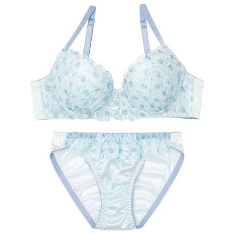 12/3新作!フェアリーメロウフルールブラジャー&フルバックショーツ[推し][人気](ブルー-A70/ショーツM)