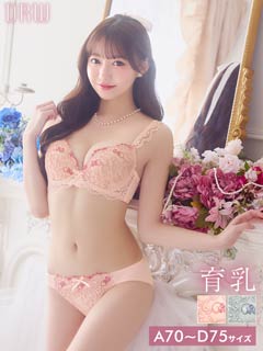 4/20新作!フェミニンアイビーエンブロイダリー育乳脇高ブラジャー&フルバックショーツ[推し][人気]