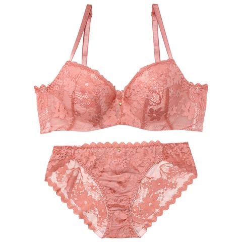 4/15新作!【EFサイズ】ニュアンスフラワーレース育乳脇高ブラジャー&バック透けフルバックショーツ[推し](テラコッタ-E65/ショーツM)