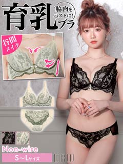 【ノンワイヤー】レーシィレトロフラワー育乳脇高ブラジャー&フルバックショーツ