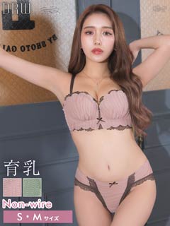 11/20新作!【ノンワイヤー】ダスティフェミニン育乳脇高ブラジャー＆フルバックショーツ